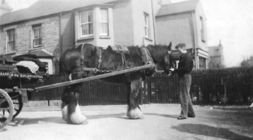 Crapper's cart, 169 Marlborough Road Crapper's cart, 169 Marlborough Road